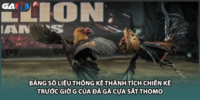 Bảng số liệu thống kê thành tích chiến kê trước giờ G của đá gà cựa sắt thomo tại nhà cái GA888
