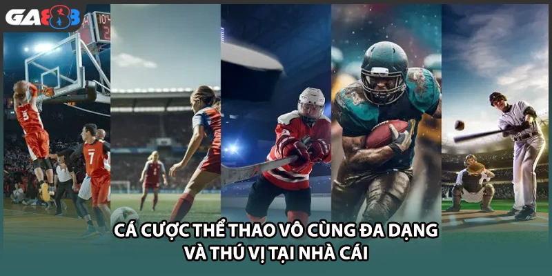 Cá cược thể thao vô cùng đa dạng và thú vị tại nhà cái