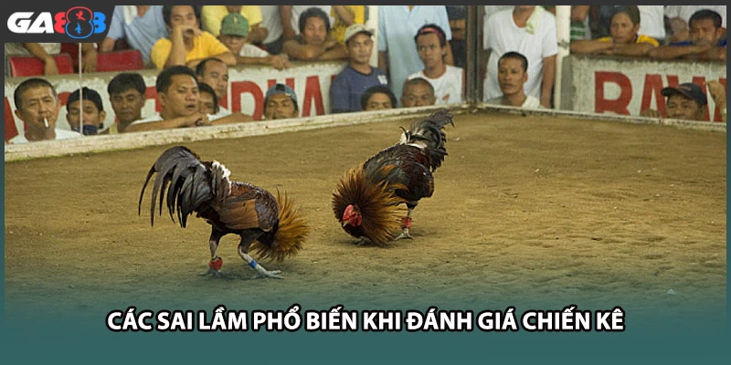 Các sai lầm phổ biến khi đánh giá chiến kê tại GA888