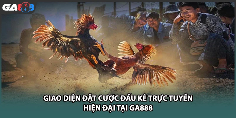 Giao diện đặt cược đấu kê trực tuyến hiện đại tại GA888