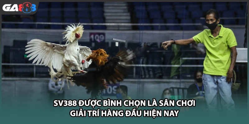 SV388 được bình chọn là sân chơi giải trí hàng đầu hiện nay tại GA888