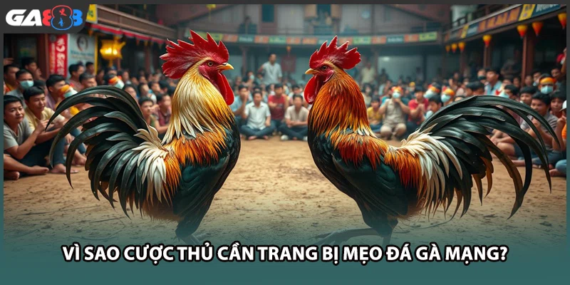 Vì sao cược thủ cần trang bị mẹo đá gà mạng tại GA888?